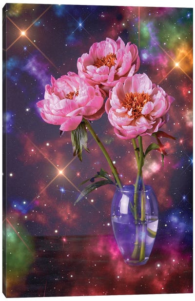 Galaxy Flowers Canvas Art Print - Edurne Andono