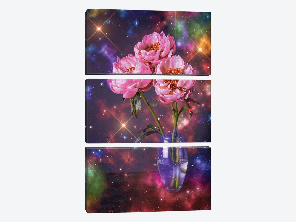 Galaxy Flowers by Edurne Andoño 3-piece Canvas Print