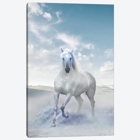 Divine Horse Canvas Print #EDA4} by Edurne Andoño Canvas Print