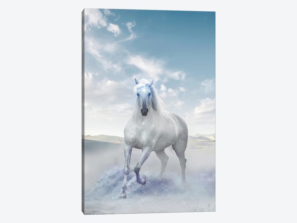 Divine Horse by Edurne Andoño 1-piece Canvas Print