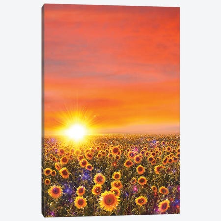 Sunflowers Sunset Canvas Print #EDA59} by Edurne Andoño Canvas Artwork