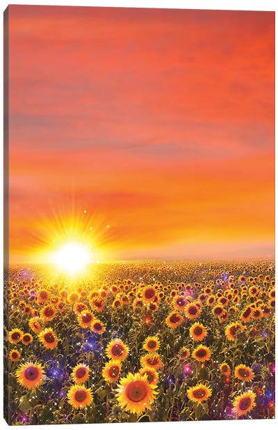Sunflowers Sunset Canvas Art Print - Edurne Andono