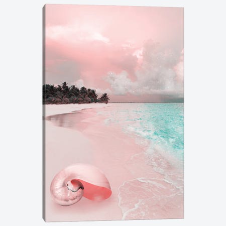 Pink Seashell Canvas Print #EDA60} by Edurne Andoño Canvas Print