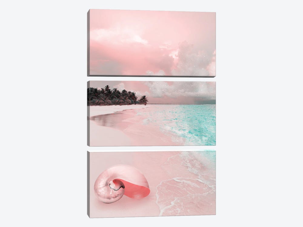 Pink Seashell by Edurne Andoño 3-piece Canvas Art Print