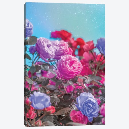 Pink And Violet Roses Canvas Print #EDA62} by Edurne Andoño Canvas Art Print