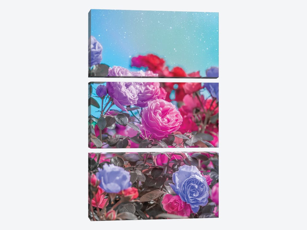 Pink And Violet Roses by Edurne Andoño 3-piece Canvas Art Print