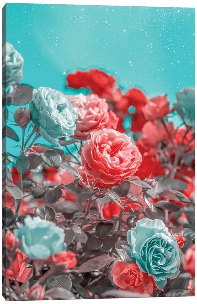 Red And Turquoise Roses Canvas Art Print - Edurne Andono