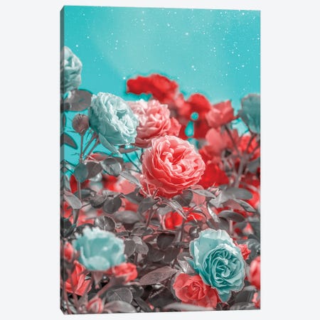 Red And Turquoise Roses Canvas Print #EDA63} by Edurne Andoño Art Print