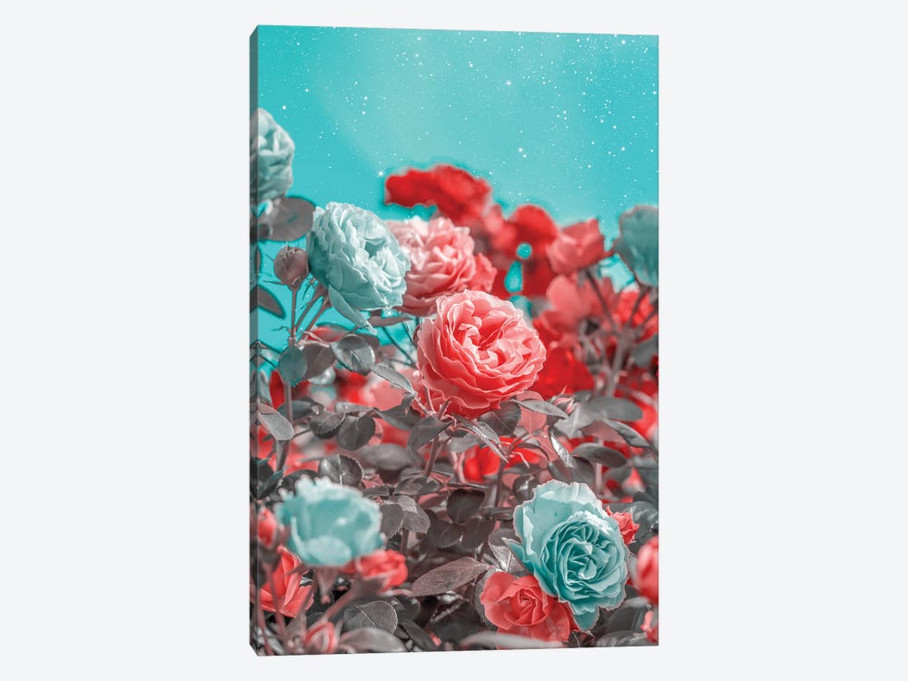Red And Turquoise Roses by Edurne Andoño 1-piece Canvas Artwork