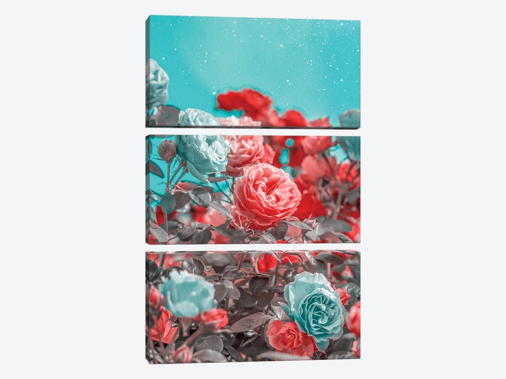 Red And Turquoise Roses by Edurne Andoño 3-piece Canvas Art