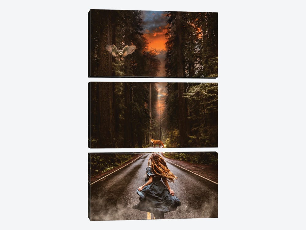 Into The Woods by Edurne Andoño 3-piece Canvas Artwork