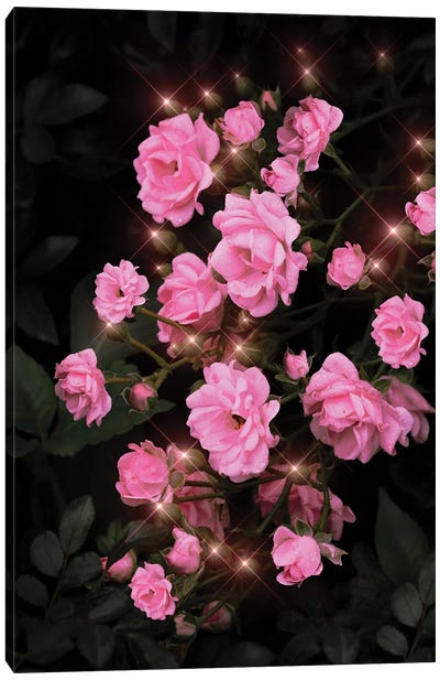 Shiny Roses Canvas Art Print - Edurne Andono