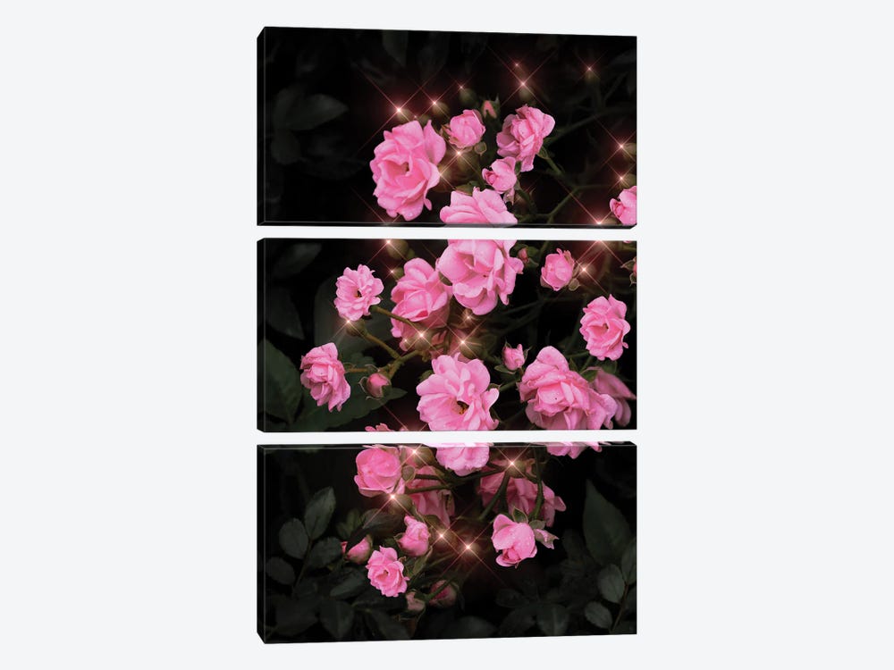 Shiny Roses by Edurne Andoño 3-piece Canvas Wall Art