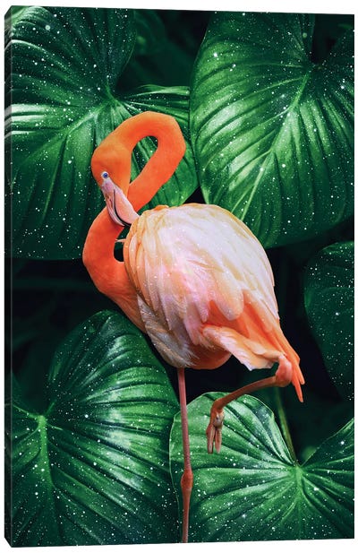 Flamingo Canvas Art Print - Edurne Andono