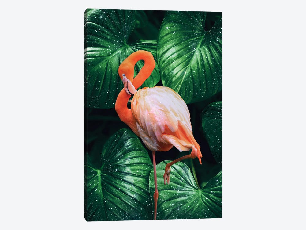 Flamingo by Edurne Andoño 1-piece Canvas Artwork