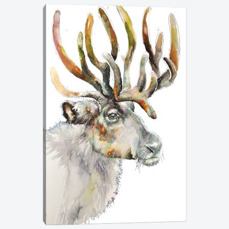Moose On White Canvas Print #EDB4} by Emma Catherine Debs Canvas Art