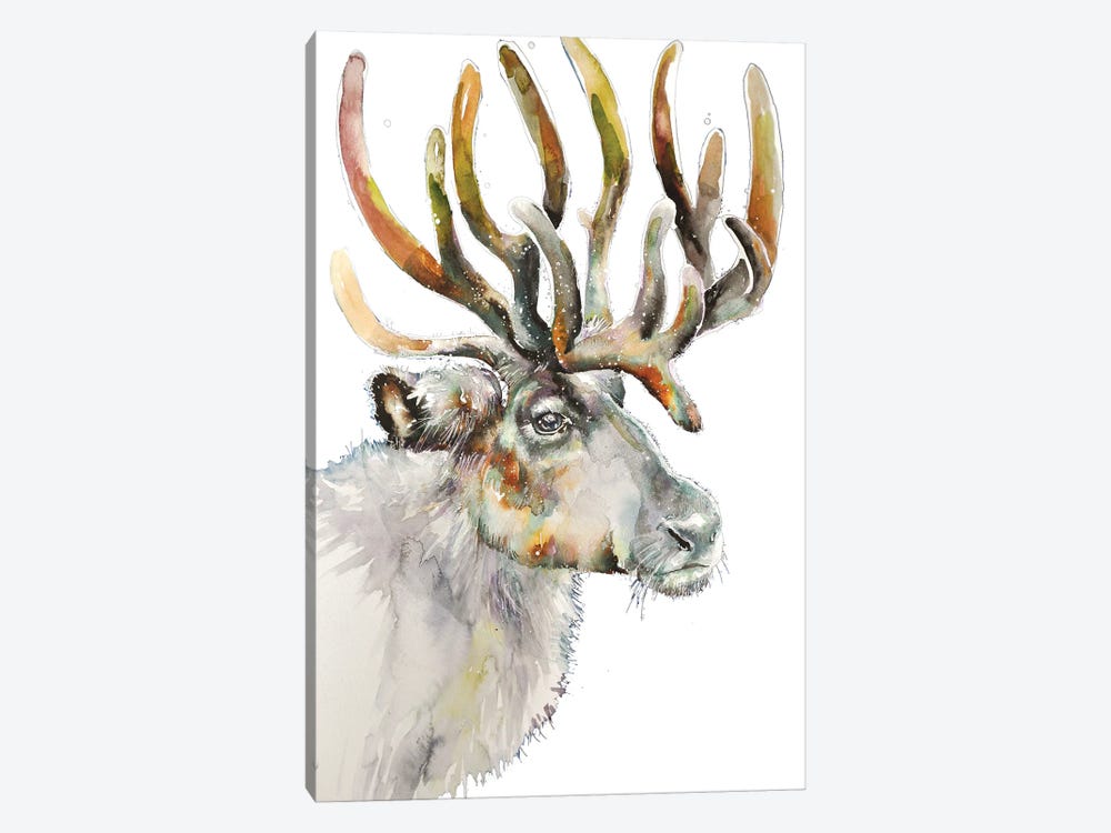 Moose On White by Emma Catherine Debs 1-piece Canvas Art