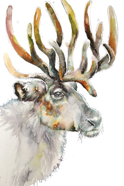 Emma Catherine Debs: Moose On White by Emma Catherine Debs
