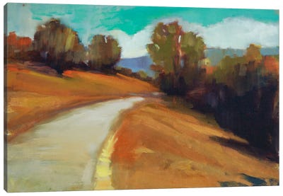 Country Road IV Canvas Art Print