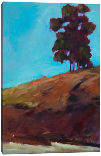 Lone Tree Canvas Art Print