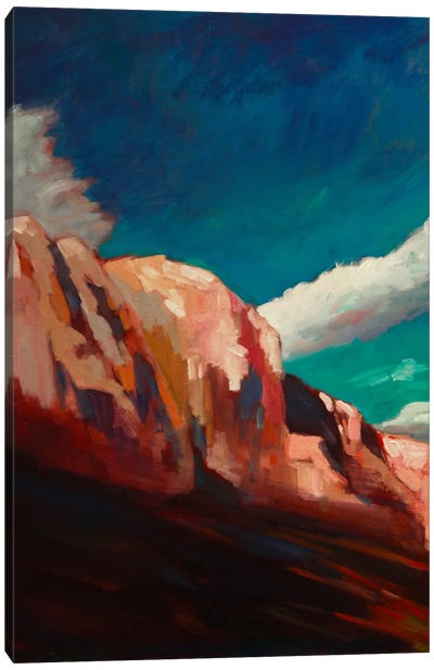 The Cliffs Canvas Art Print