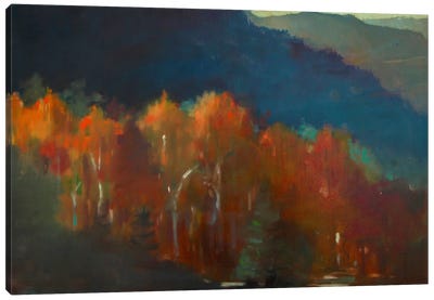 Autumn Forest Canvas Art Print