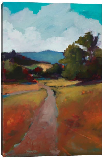 Country Road II Canvas Art Print