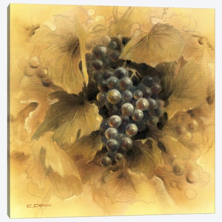 Grapes II Canvas Print #EDE6} by E Denis Art Print