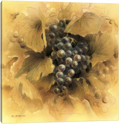 Grapes II Canvas Art Print - Grape Art