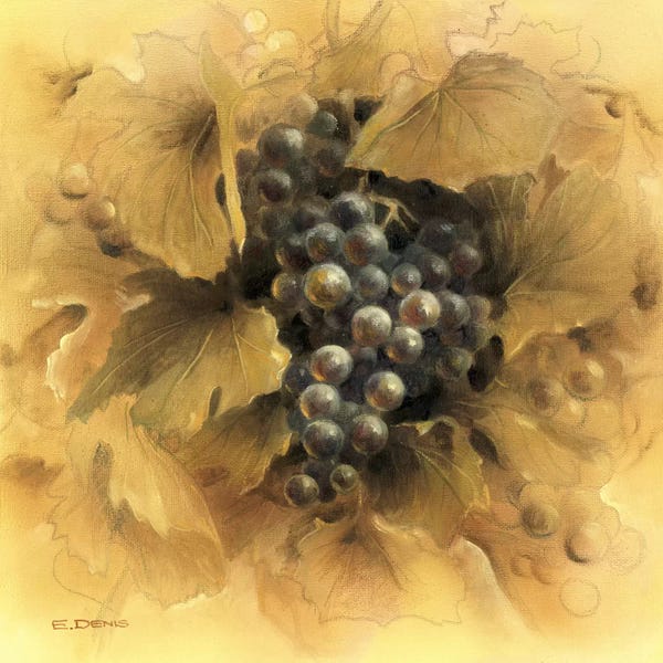 Vineyards: Grapes II by E Denis