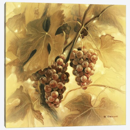 Grapes III Canvas Print #EDE7} by E Denis Canvas Art Print