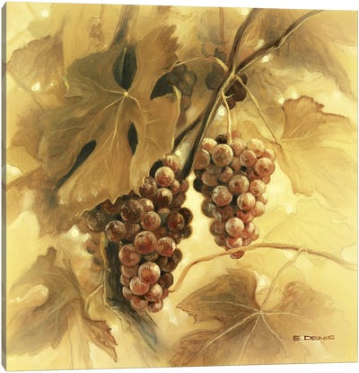 Grapes III Canvas Art Print - Grape Art