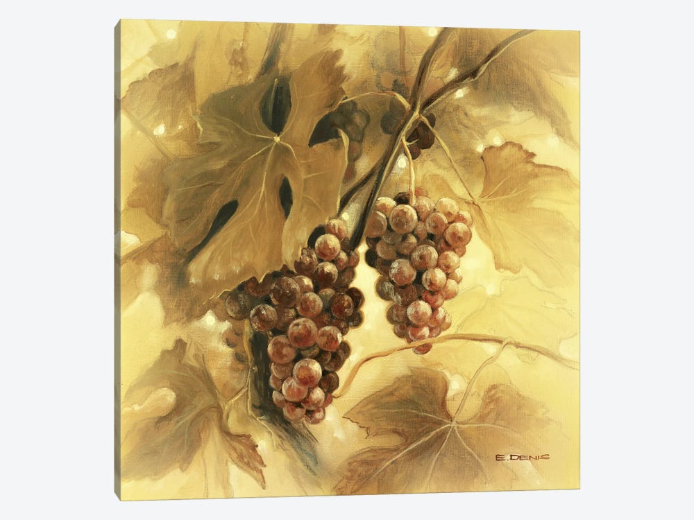 Grapes III by E Denis 1-piece Canvas Artwork