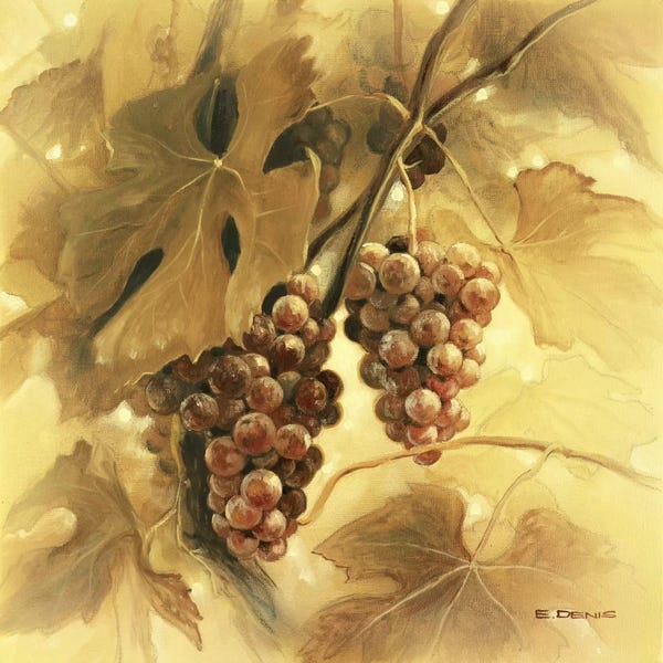Vineyards: Grapes III by E Denis