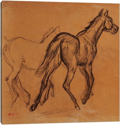 Horses, c.1882  Canvas Art Print - Edgar Degas