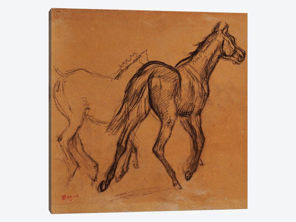 Horses, c.1882  by Edgar Degas 1-piece Canvas Print
