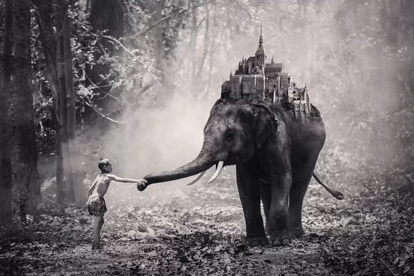 Elephants: Dreamland by Enkel Dika