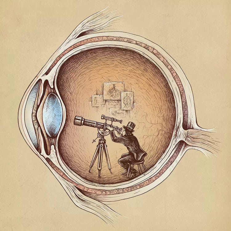 Extraordinary Observer by Enkel Dika wall art
