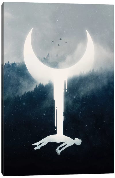 Illumination Canvas Art Print - Crescent Moon Art