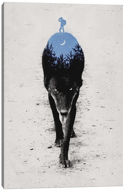 Into The Forest Canvas Art Print - Wolf Art