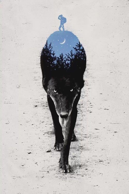 Into The Forest