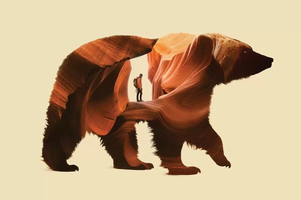 Brown Bears: One With Nature by Enkel Dika
