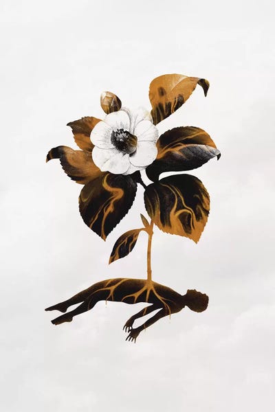 The Haunting Fragility Of Life by Enkel Dika framed wall art