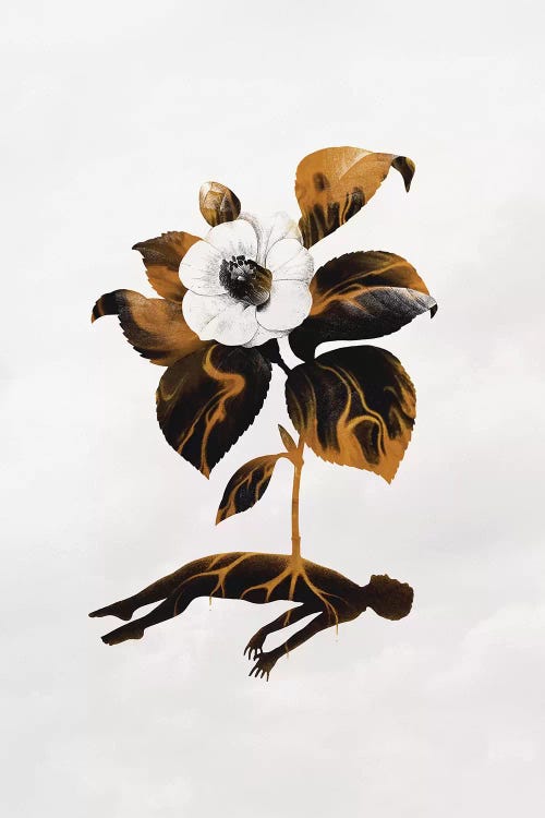 The Haunting Fragility Of Life by Enkel Dika wall art