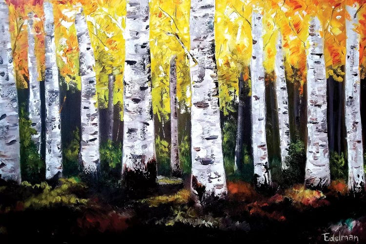 Birch Trees