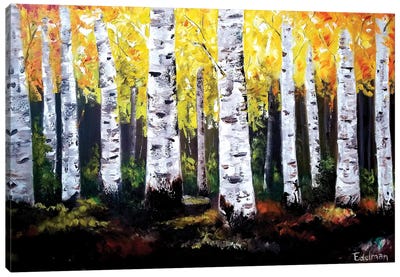 Birch Trees Canvas Art Print - Kelly Edelman