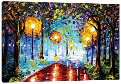 Night Path Canvas Art Print - Kelly Edelman