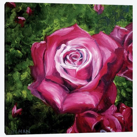 Rose Canvas Print #EDL38} by Kelly Edelman Canvas Print