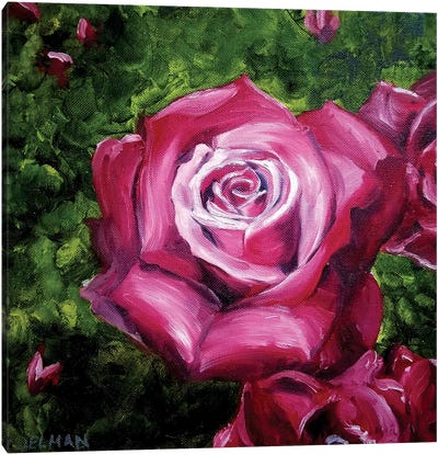 Rose Canvas Art Print - Kelly Edelman