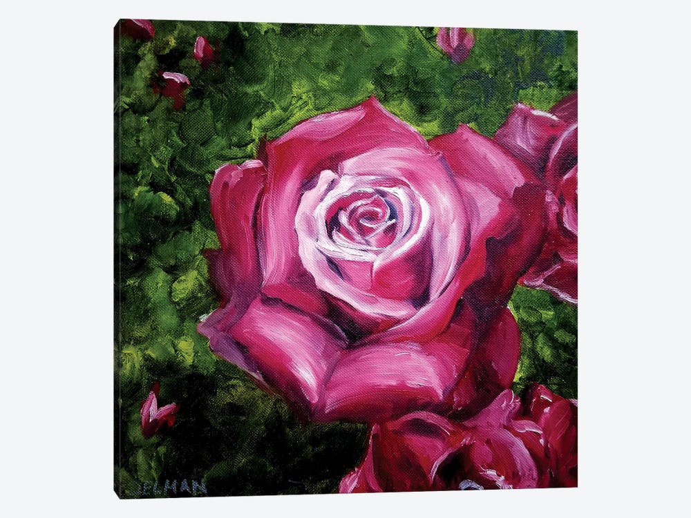 Rose by Kelly Edelman 1-piece Canvas Print